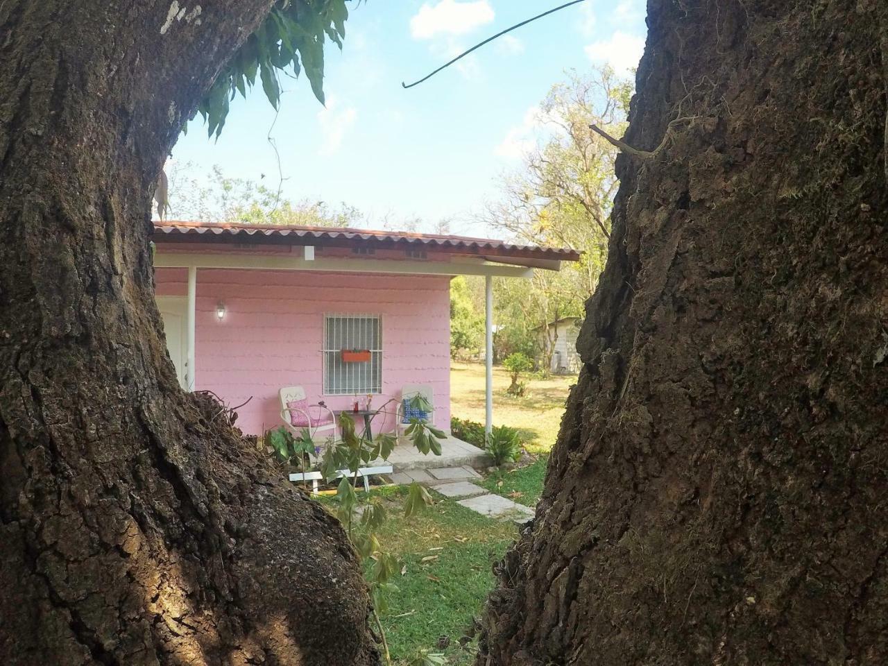 La Casita De El Valle El Valle de Anton Bagian luar foto